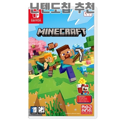 최고의 닌텐도 칩 추천과 선택 가이드